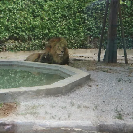 La Duna 公寓 利尼亚诺萨比亚多罗