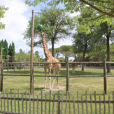 La Duna * 利尼亚诺萨比亚多罗